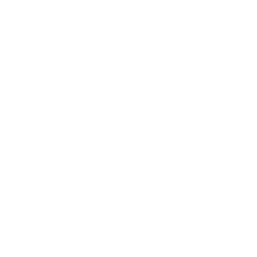 brain-icon.png